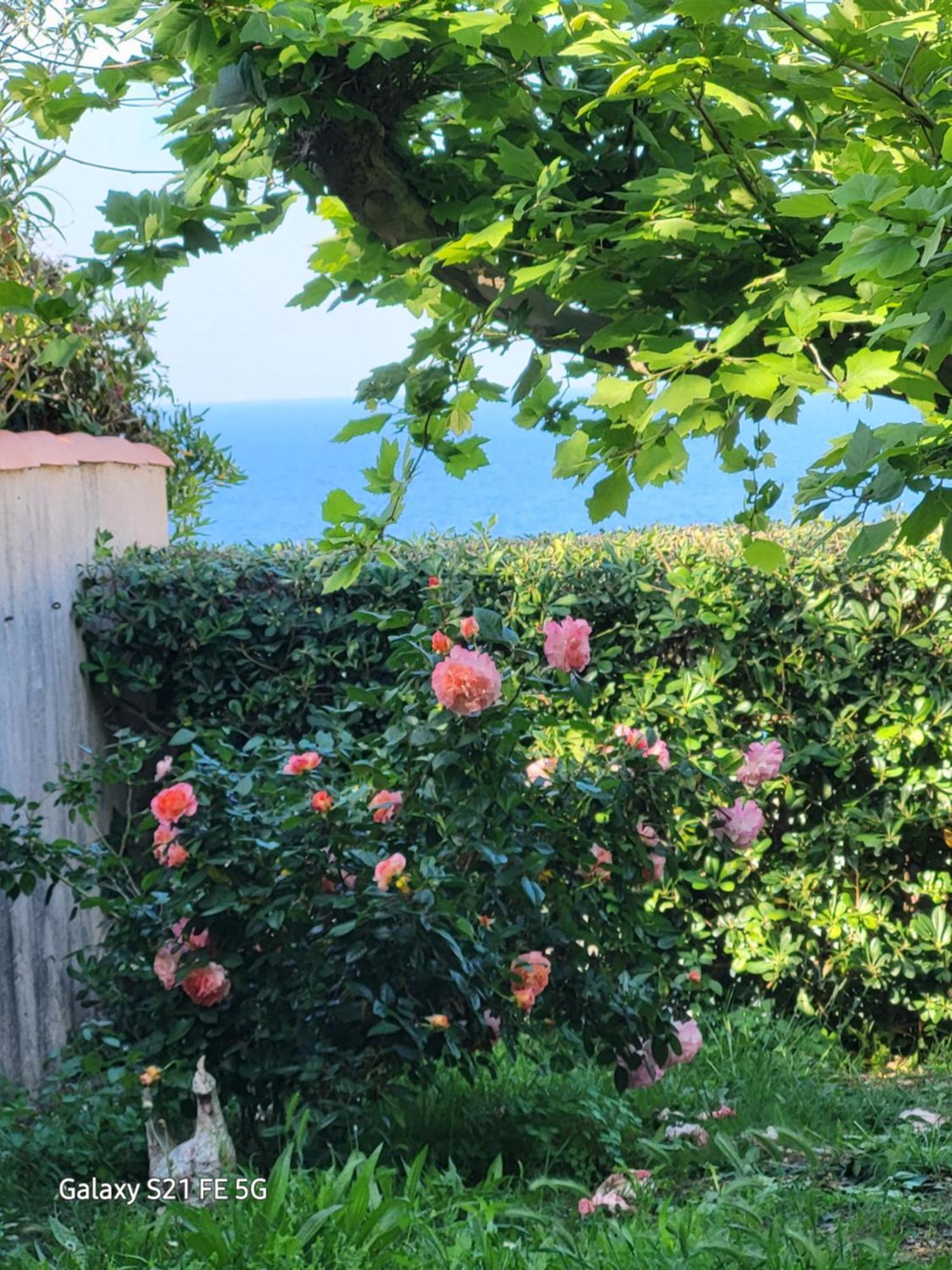 Chez Isabelle Bed and Breakfast Luri Eksteriør billede